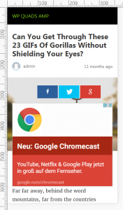 Google AdSense AMP website